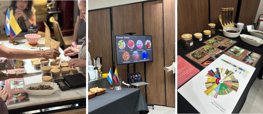 Del grano a la taza: una conversación sobre el café colombiano