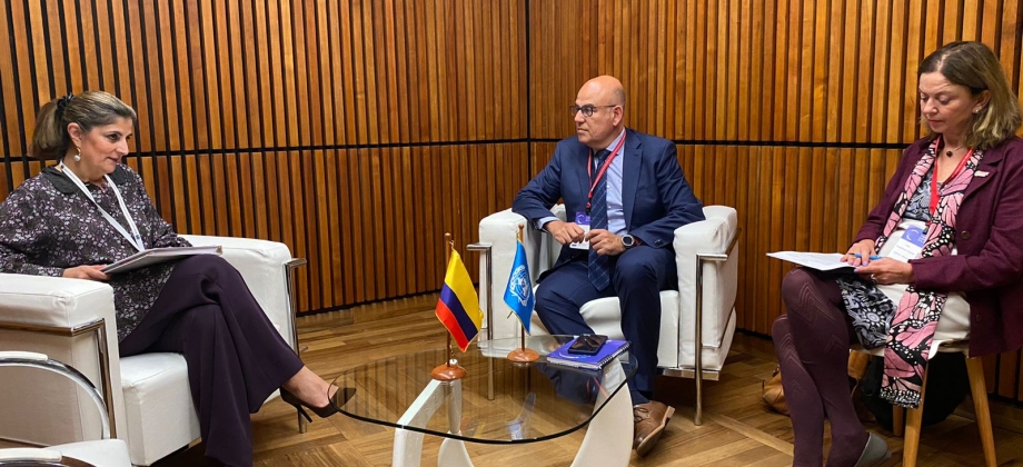 "En Colombia no queremos que la política exterior feminista se quede en clichés", Viceministra Gil en reunión con altos miembros de la CEPAL
