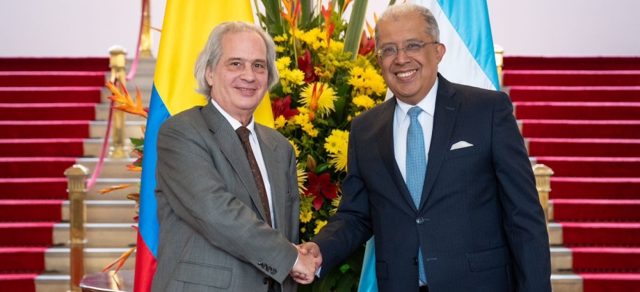 Vicecancilleres de Colombia y Argentina presidieron la VI Comisión de Coordinación Política e Integración